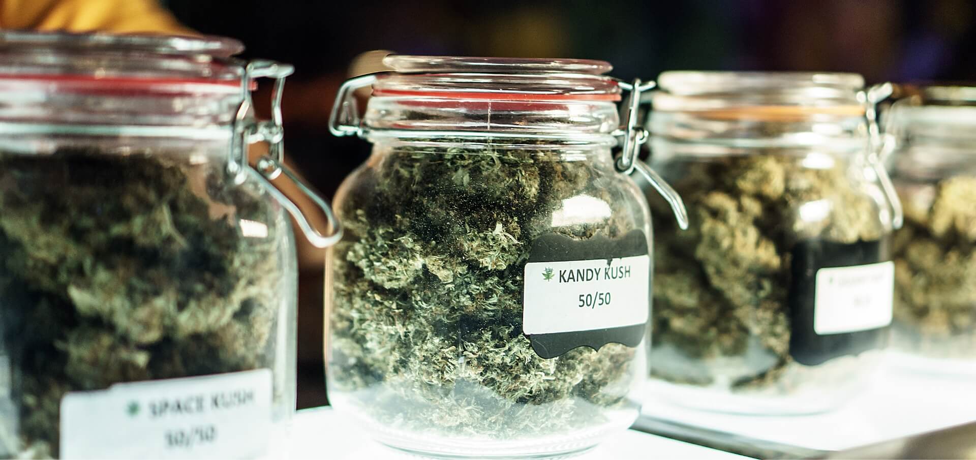 Close up of cannabis in jar named kandy kush